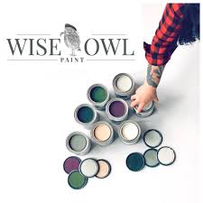 A New Year – A New Product Line to Review: Wise Owl Paint. - The