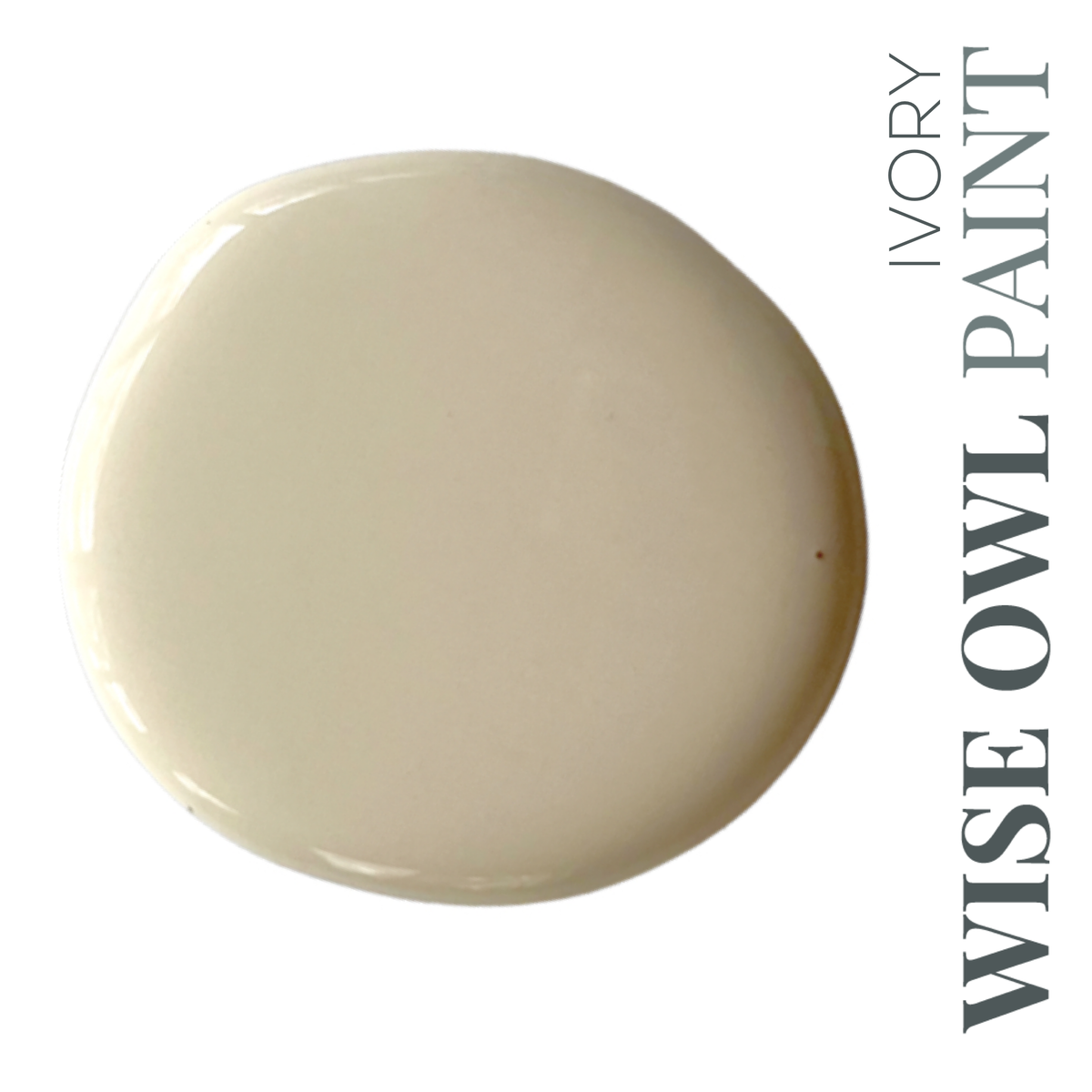 Wise Owl Chalk Synthesis Paint Vintage Duck Egg 16oz