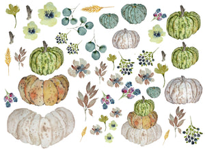 Heirloom Pumpkins