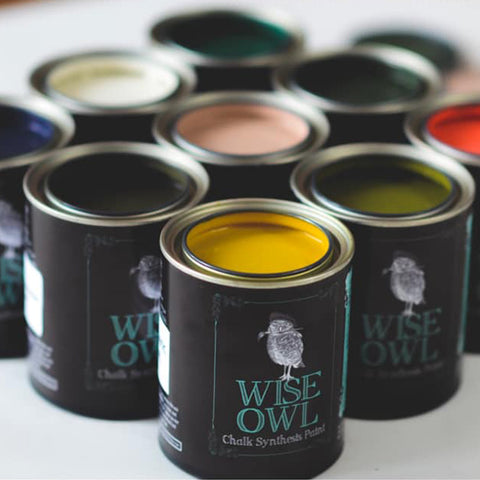 Wise Owl Chalk Synthesis Paint